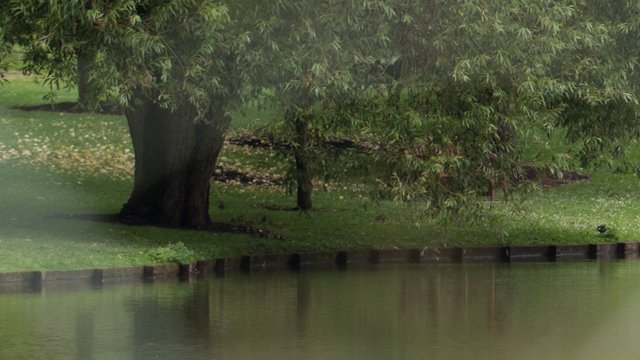 View across the lake