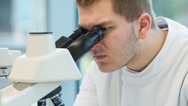 Male looking through microscope