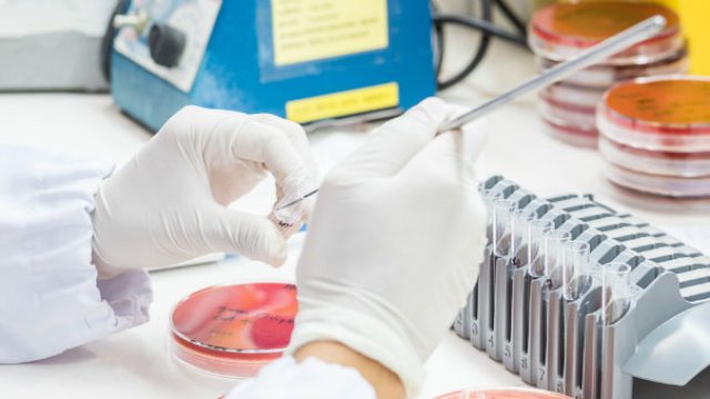 A scientist in a research lab conducting experiments on antimicrobial resistance