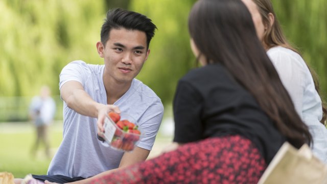 A group of students having a picnic