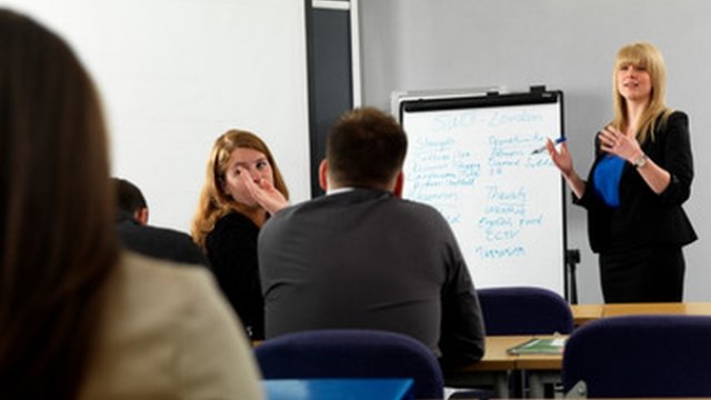 A presenter delivers a seminar to delegates