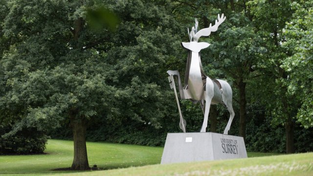 The Stag sculpture on Stag Hill campus