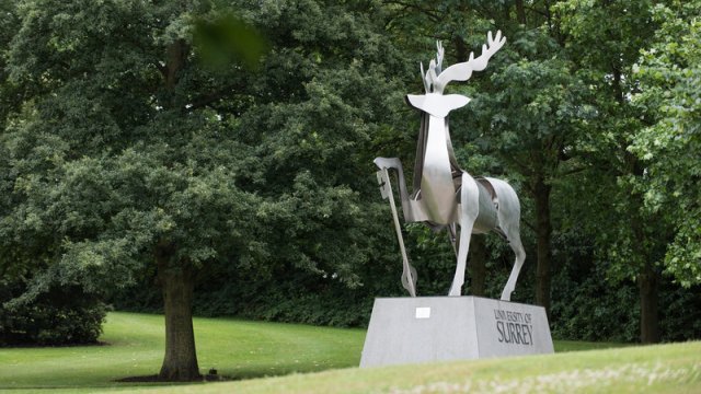 The Stag sculpture on Stag Hill campus
