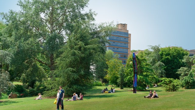 The University of Surrey campus