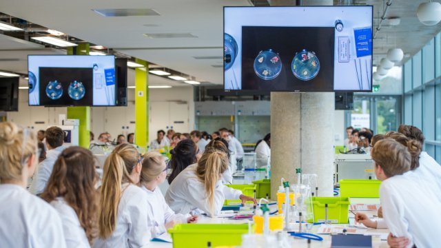 Biosciences students watching a live experiment on screen in the Biology Laboratory