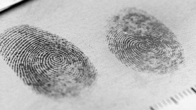 Fingerprint markings and measurements