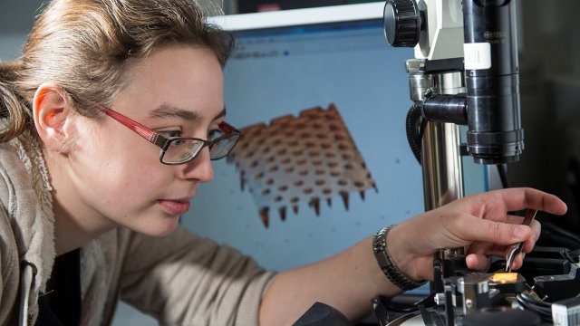 PhD student working in the lab 2