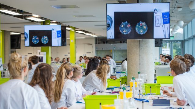 	Group of biosciences students wearing lab coats watching an experiment performed with petri dishes on screen