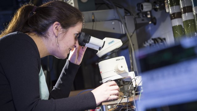 Physicist looking down microscope