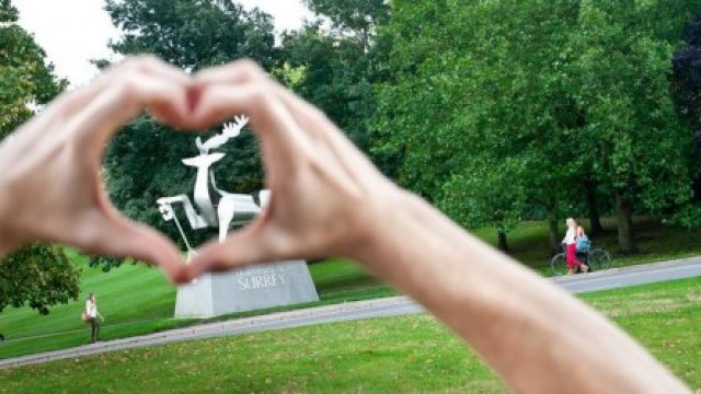 Picture of stag statue through hands in a heart shape