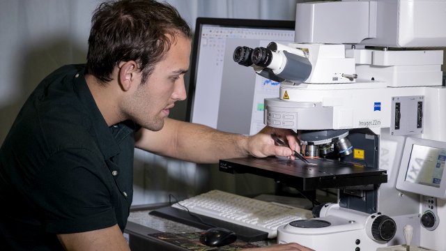 Student using a microscope