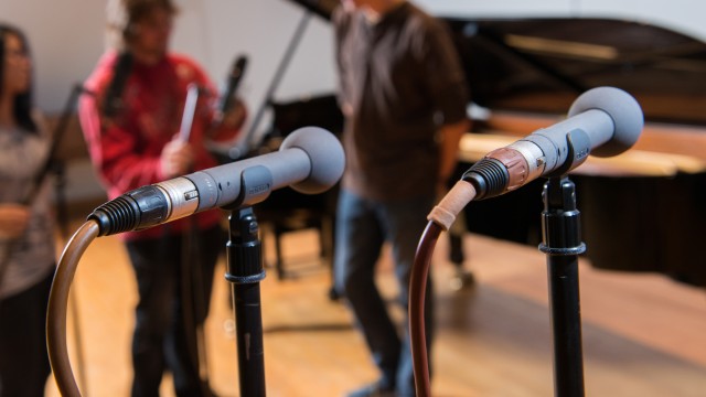 Microphones in stands