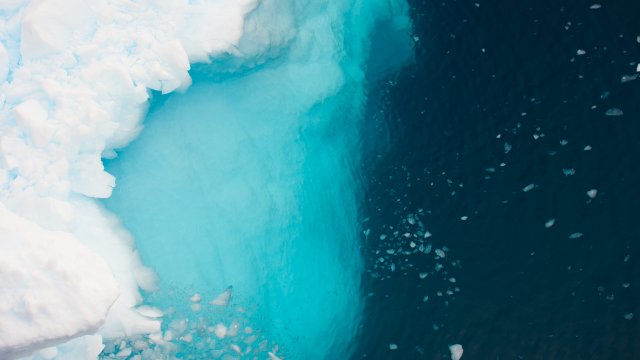 Sheet of ice in the ocean.