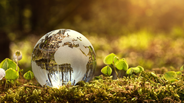 Small glass globe sat on the grass surrounded by flowers