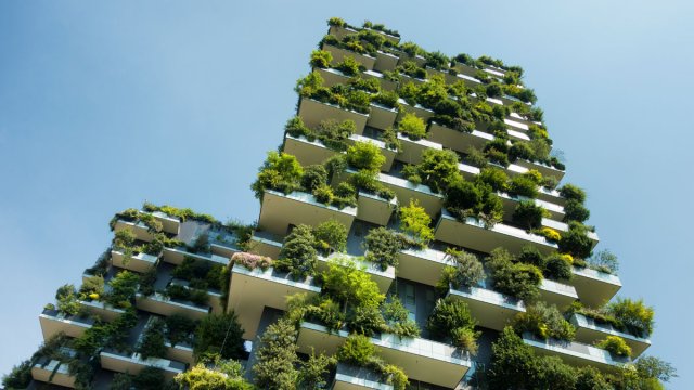 A building covered in green plants