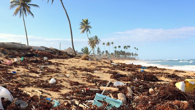 Plastic waste on beach