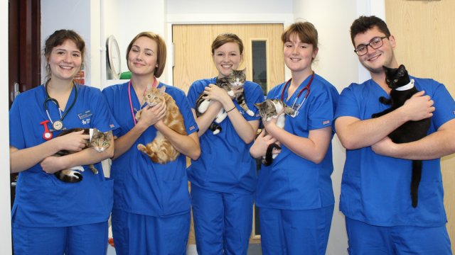 Trainee vet, Dan Letch, holding a cat alongside other students