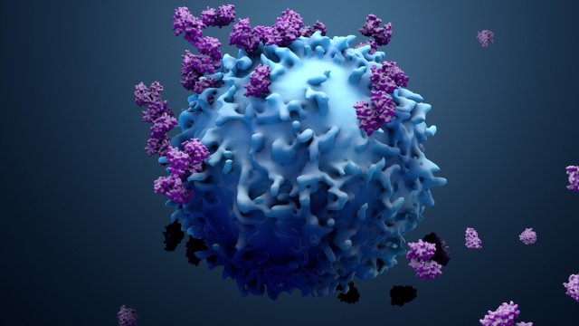 Visual representation of a human immune response