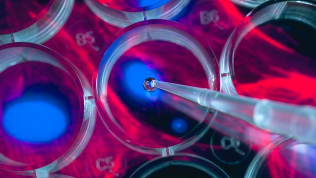 Pipette dropping liquid into a container above an image of a stem cell