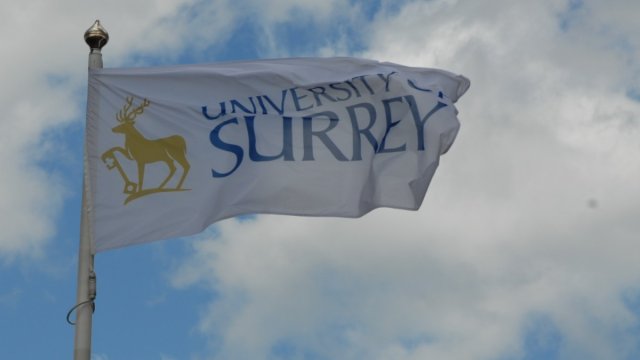 University of Surrey flag 
