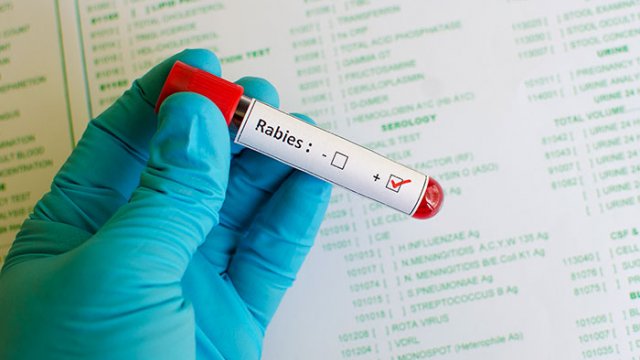 rabies-vial