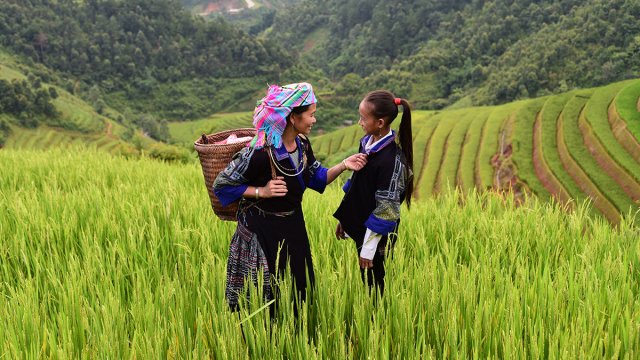 Girl and woman in a green field