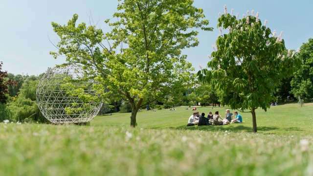 Students relax on the grass