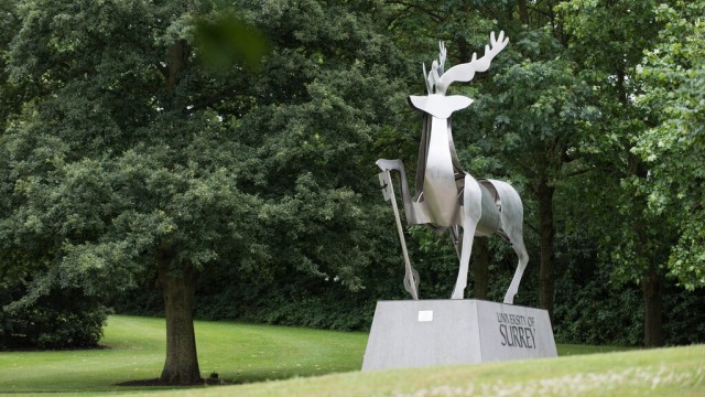 Stag Hill