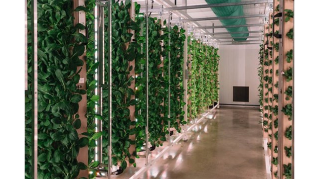 Innovation Agritech Group