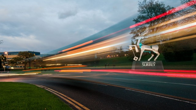 Stag statue at night