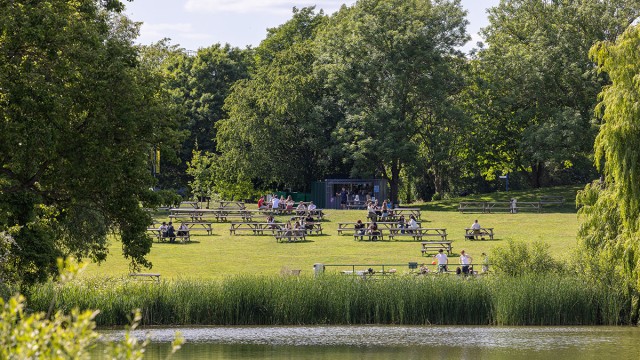 View of benches across the lake