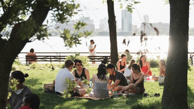 picnic