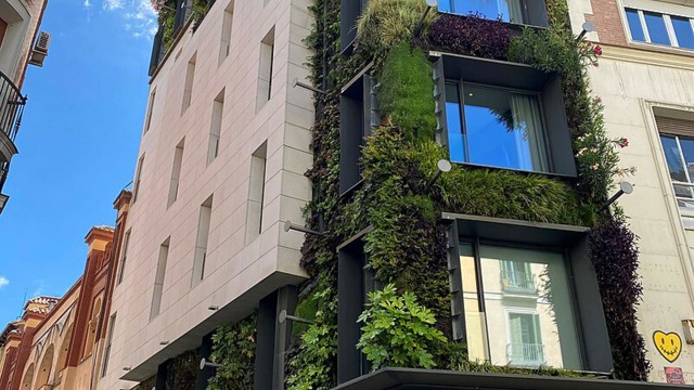 Green wall going up building