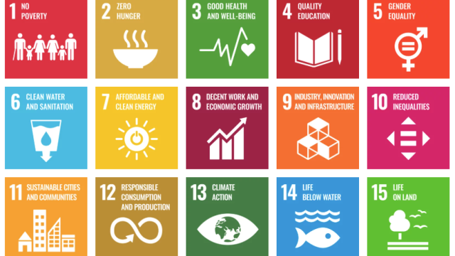 SDG logos