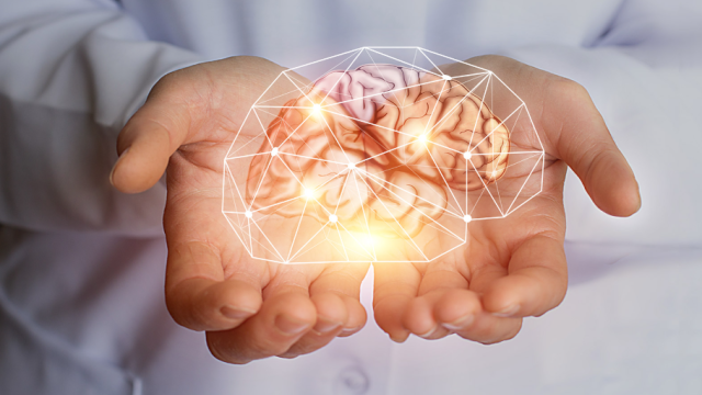 concept of brain held in two hands representing the brain research