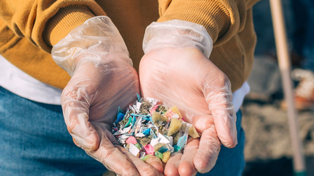 UGPN microfibres research project image of hand holding microplastics