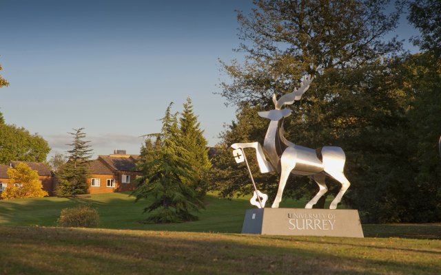 The University of Surrey entrance stag.