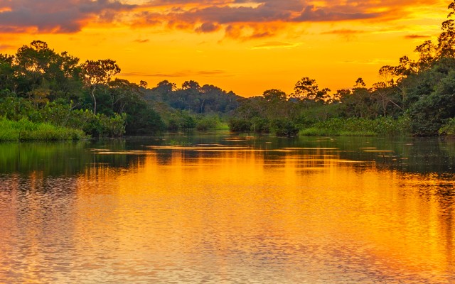 Sunset in the Amazon Rainforest.