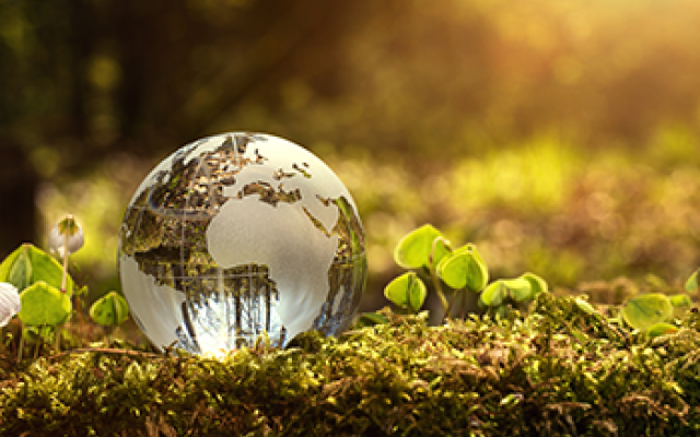 Small glass globe sat on the grass surrounded by flowers