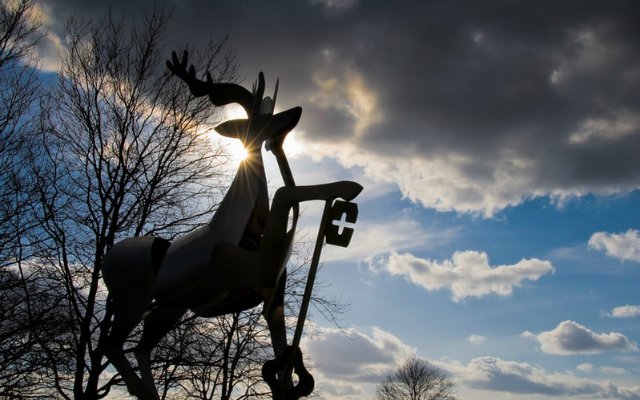 Stag sculpture at University of Surrey