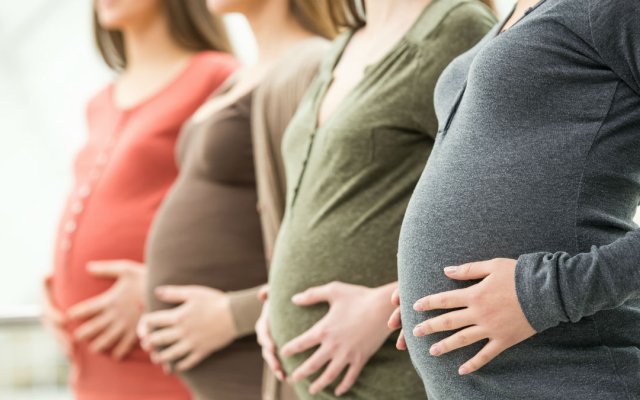 Pregnant women standing in a row holding their bellies