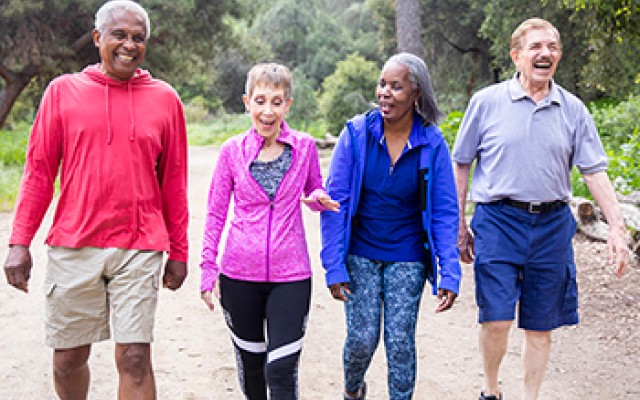 A group of older people are walking through a park on a sunny day.