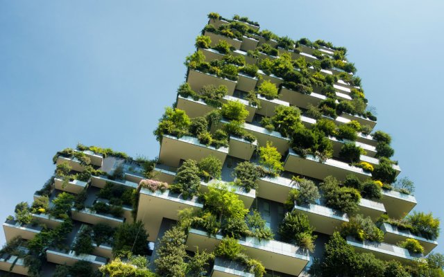 A building covered in green plants