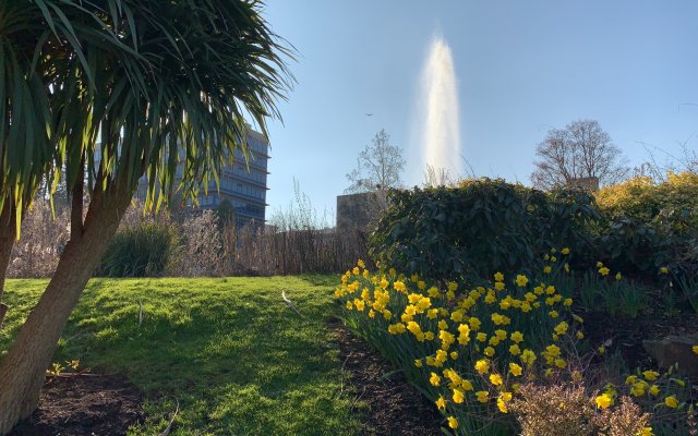 Campus in spring