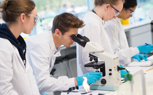 Student using microscope