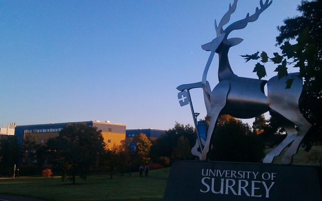 A statue of a stag on the University campus