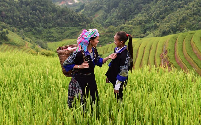 Girl and woman in a green field