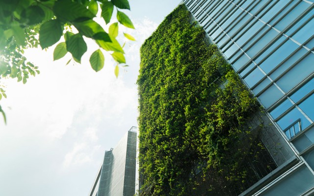 Plants on side of building