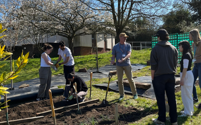 A group of students and staff gardening