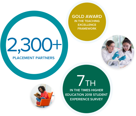 Homepage promo infographic